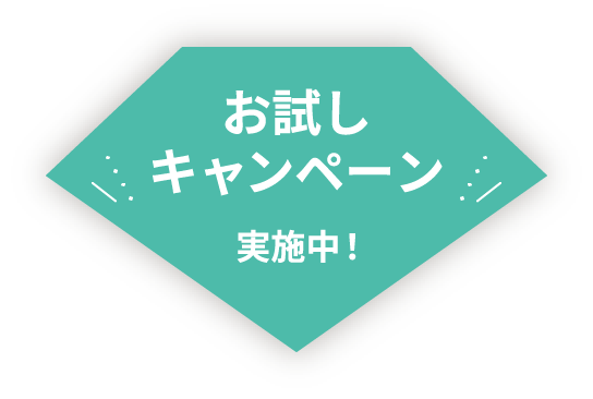 お試しキャンペーン実施中！
