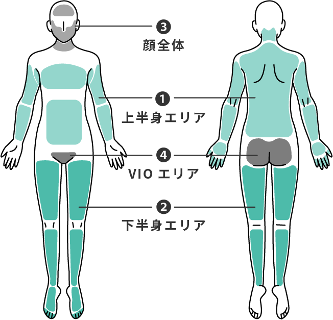 施術可能なエリア①上半身エリア②下半身エリア③顔全体④VIOエリア